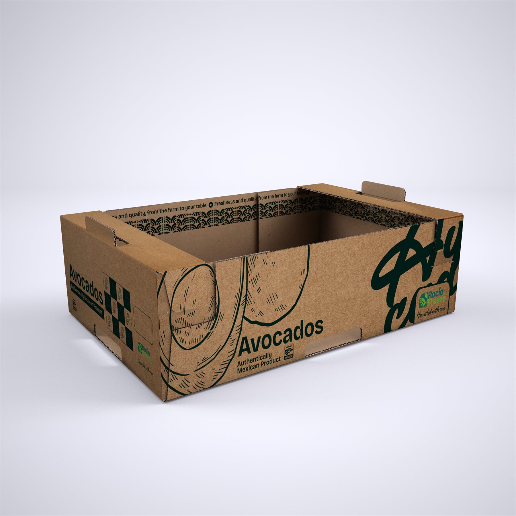 Caja de exportación, Rocío Fresco · 2025